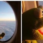 Kermit Vacation Flight