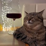 Stepan cat