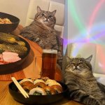 Stepan cat