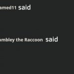 NAMED11 Said Rambley The Racoon said