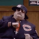 Chicago Bears Fan