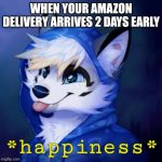 It's the best feeling | WHEN YOUR AMAZON DELIVERY ARRIVES 2 DAYS EARLY | image tagged in furry happiness,fun | made w/ Imgflip meme maker