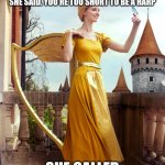 Harp | AT THE HALLOWEEN PARTY, THE HOSTESS ASKED ME WHAT MY COSTUME WAS. UMM.. CLEARLY IT'S A HARP. OH NO, SHE SAID. YOU'RE TOO SHORT TO BE A HARP; SHE CALLED ME A LYRE! | image tagged in harp | made w/ Imgflip meme maker