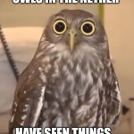 owl-big-eyes | OWLS IN THE NETHER; HAVE SEEN THINGS... | image tagged in owl-big-eyes | made w/ Imgflip meme maker