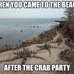 After the crab party | WHEN YOU CAME TO THE BEACH; AFTER THE CRAB PARTY | image tagged in ukraine magical beach place | made w/ Imgflip meme maker