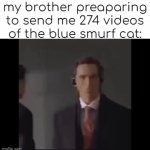 Image Title | my brother preaparing to send me 274 videos of the blue smurf cat: | image tagged in gifs,real | made w/ Imgflip video-to-gif maker