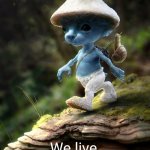 We live we love we lie | THE MOMENT WHEN; We live, we love we lie | image tagged in blue smurf cat | made w/ Imgflip meme maker