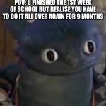 Unsettled Toothless | POV: U FINISHED THE 1ST WEEK OF SCHOOL BUT REALISE YOU HAVE TO DO IT ALL OVER AGAIN FOR 9 MONTHS | image tagged in unsettled toothless | made w/ Imgflip meme maker