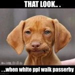 That Look | THAT LOOK.. . . ..when white ppl walk passerby | image tagged in puppy dog | made w/ Imgflip meme maker