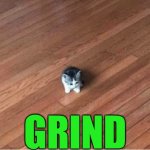 cat grind meme