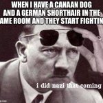 Hitler I did Nazi that coming | WHEN I HAVE A CANAAN DOG AND A GERMAN SHORTHAIR IN THE SAME ROOM AND THEY START FIGHTING | image tagged in hitler i did nazi that coming | made w/ Imgflip meme maker