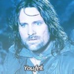 Aragorn You fell