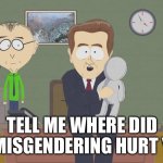 Misgender | TELL ME WHERE DID THE MISGENDERING HURT YOU? | image tagged in molestation doll | made w/ Imgflip meme maker