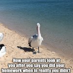 Judgmental Pelican | How your parents look at you after you say you did your homework when in reality you didn't | image tagged in judgmental pelican | made w/ Imgflip meme maker