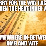 Apologies | SORRY FOR THE WAY I ACTED 
WHEN THE HEAT INDEX WAS; SOMEWHERE IN-BETWEEN 
OMG AND WTF | image tagged in summer heat,sorry | made w/ Imgflip meme maker