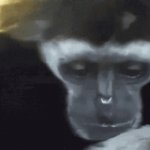 crying monkey GIF Template