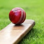 Cricket ball and bat