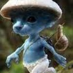 smurf cat