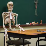 skeleton sitting at a teacher's desk