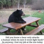 Bad Luck Bear Meme | Did you know a bear only attacks a human when its sure it wont fight back?
So anyway, i lost my job at the zoo today | image tagged in memes,dark humor | made w/ Imgflip meme maker