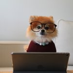 dog computer