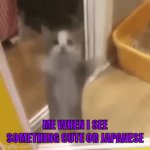 meow | ME WHEN I SEE SOMETHING CUTE OR JAPANESE | image tagged in gifs,cats | made w/ Imgflip video-to-gif maker