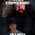 You are wizzard harry | YOU'RE A STRIPPER HARRY! I'M A WOT? | image tagged in you are wizzard harry | made w/ Imgflip meme maker