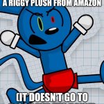 AAAAAAAAAAAAAAAAAAAAAAAAAAAAAAAAA | WHEN SOMEONE GETS A RIGGY PLUSH FROM AMAZON; (IT DOESN'T GO TO RIGGY FOR HIS RAISE) | image tagged in angered riggy,riggy,plush | made w/ Imgflip meme maker