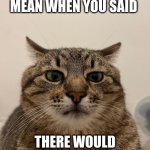 What did you mean when you said there would be no beer? | WHAT DID YOU MEAN WHEN YOU SAID; THERE WOULD BE NO BEER? | image tagged in stepan cat,beer | made w/ Imgflip meme maker