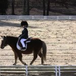 Cute kid on pony