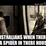 What I mean is that the spiders are huge | AUSTRALIANS WHEN THERE IS A SPIDER IN THERE HOUSE | image tagged in gifs,star wars | made w/ Imgflip video-to-gif maker