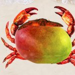 Mango crab
