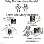 why do we have hands | image tagged in why do we have hands | made w/ Imgflip meme maker