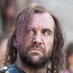 The hound