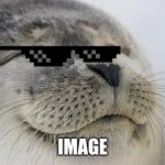 Seal | IMAGE | image tagged in memes,satisfied seal | made w/ Imgflip meme maker