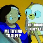 Bugs | THE ROACH IN MY EAR; ME TRYING TO SLEEP | image tagged in me and the cat,funny,adventure time | made w/ Imgflip meme maker