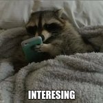 Raccoon in bed | INTERESING | image tagged in raccoon in bed | made w/ Imgflip meme maker
