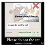 please do not the cat