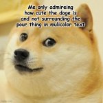 He's so fluffy | Me only admireing how cute the doge is and not surrounding the pour thing in mulicolor text | image tagged in memes,doge | made w/ Imgflip meme maker