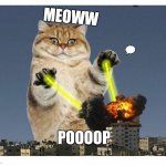 lazer cat | MEOWW; POOOOP | image tagged in funny meme | made w/ Imgflip meme maker