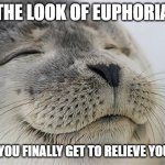 finally.... | THE LOOK OF EUPHORIA; WHEN YOU FINALLY GET TO RELIEVE YOURSELF | image tagged in memes,satisfied seal | made w/ Imgflip meme maker