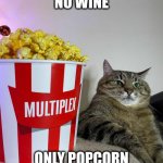 No wine. Only popcorn | NO WINE; ONLY POPCORN | image tagged in stepan cat,wine,popcorn,film | made w/ Imgflip meme maker