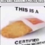 Hashbrown moment | MY GROUPCHAT IS ARGUING LIKE HELL AND I RANDOMLY POSTED THIS. | image tagged in this is a hashbrown moment | made w/ Imgflip meme maker