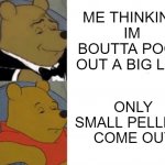 If you know what I'm talking about then yeah it sucks | ME THINKING IM BOUTTA POOH OUT A BIG LOG; ONLY SMALL PELLETS COME OUT | image tagged in tuxedo winnie the pooh reversed,shitpost,literally,poop,shitty meme,why am i doing this | made w/ Imgflip meme maker