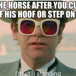 (they feel no pain in their hoofs) | THE HORSE AFTER YOU CUT OFF HIS HOOF OR STEP ON IT: | image tagged in im still standing | made w/ Imgflip meme maker
