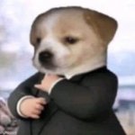 Dog with suit | image tagged in dog with suit | made w/ Imgflip meme maker
