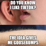 Goosebumps | DO YOU KNOW I LIKE TIKTOK? THE IDEA GIVES ME GOOSEBUMPS | image tagged in whisper and goosebumps | made w/ Imgflip meme maker