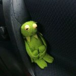 scared Kermit