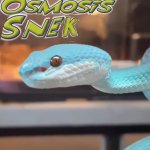 Osmosis snek