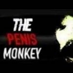 penis monkey